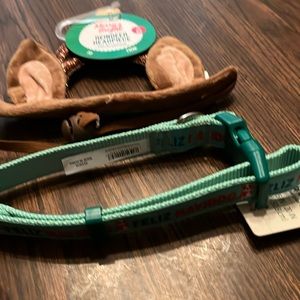 Smaller dog collar and reindeer ears